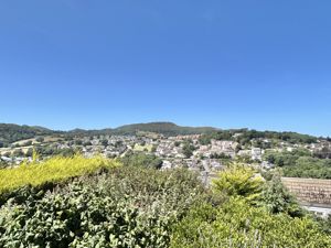 Photo 19- click for photo gallery